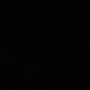 Meet your Posher, Ana